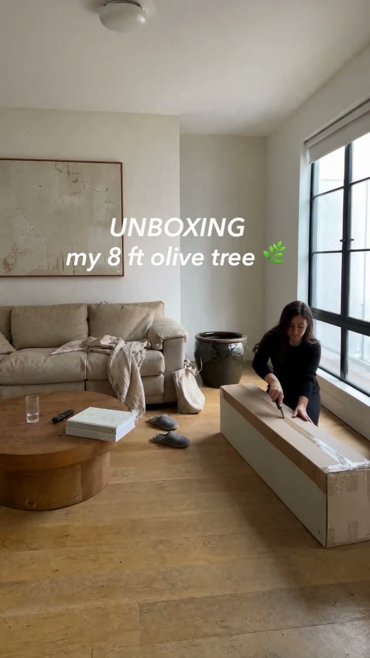 Faux Natural: UGC unboxing ad