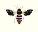 TallowHoneyBalm logo
